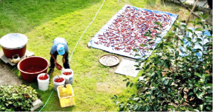 농부의 삼덕(三德) 본(本)·근(勤)·자(子)