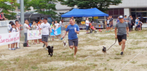 반려견 문화 정착 위한 제2회 반려동물 대축제 성료