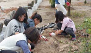 옥산초 녹색동아리 텃밭 고구마 나눔 행사 가져