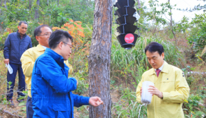 산림청 차장 경주 소나무재선충병 방제현장 시찰