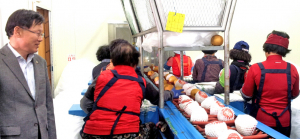 현곡배, 대만 수출위한 선과작업 ‘한창’
