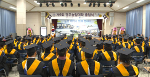 경주지역 행사 소식(2015.11.16~20)