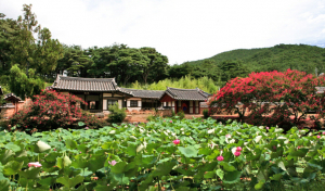 경주고택, 직접 묵고 체험하세요 