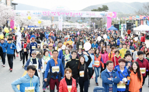 4월 만개한 벚꽃 속으로 힘찬 레이스