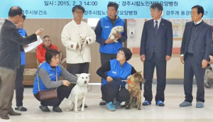 경주 천연기념물 ‘동경이’ 병원치료 도우미로 변신
