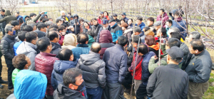 경주체리, 국내 넘어 세계로