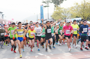 벚꽃 아래 힘찬 레이스, 제25회 벚꽃 마라톤 대회