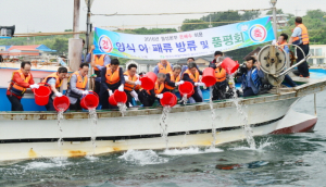 월성원자력, 온배수 양식 어패류 25만미 방류