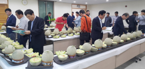 경주 이사금 ‘멜론’ 품질·맛 전국 으뜸