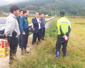 태풍피해 농가 도복벼 복구에 총력