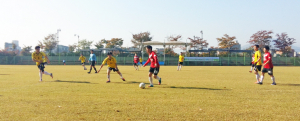 경북도 생활체육동호인 축구대회 성료