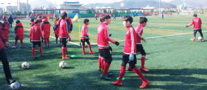 연말연초 관광객 전년대비 소폭증가