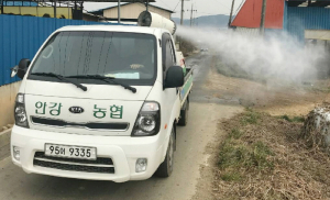 안강읍 구제역 원천차단 선제적 대응 총력
