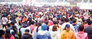 제26회 벚꽃마라톤-숨이 차올라도 좋다, 벚꽃과 함께라면!