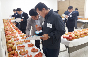 제3회 경주 이사금 토마토 품평회 열려