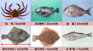 경북도, 봄철 불법어업 유관기관 합동단속 실시