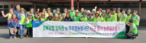 농촌일손돕기로 농민들의 고통 분담