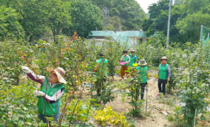 “박달에 가서 산딸기 따주고 왔습니다”