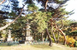 늦가을 경주에서 만나는 다섯 군데‘숨은 명소’…‘그대로 가을의 포로가 된들 어떠리’