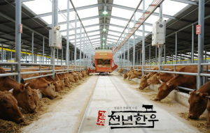 농업에서 미래 신성장동력과 희망 찾는다