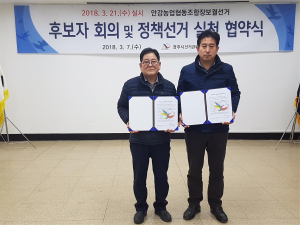 안강농협 조합장 보궐선거 2파전