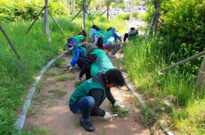 황남동 새마을회, 도시 녹화 관리 조성에 앞장