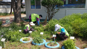 노인회 경주시지회 학교 정화활동 호응 얻어