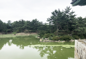 동궁과 월지 ‘녹조 심각’ 업체 변경 때문?