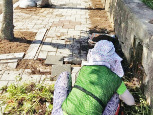 안강읍, 아름다운 도시 만들기 나서