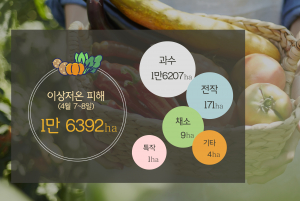 이상저온 피해 농작물 재해복구비 국가지원 확정