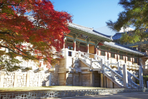 경주세계문화유산 학생 해설사 불국사 탐방길 나서다
