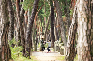 경주국립공원 50주년 특별 생태관광 참여자 모집