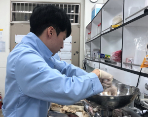 경주시, 3분기 수산물 방사능 분석 실시