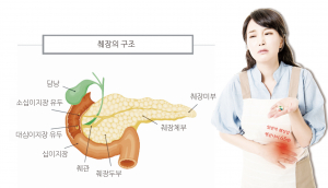 생존율 낮은 ‘췌장암’, 조기검진 만이 답이다
