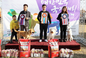 천연기념물 진도개·삽살개·동경이 국견대회 경주에서 개최