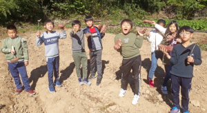 신나고 즐거운 땅속 보물 고구마 캐기 