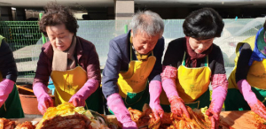 경주농협 주부대학 동창회 사랑의 김장담그기 봉사