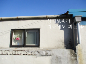 짧은 시와 사진과의 만남, ‘처용시인의 겨울 디카시’展