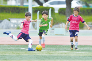 우려가 현실로, ‘화랑대기’ 포함 초·중등 전국대회 취소