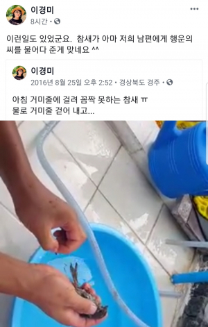 거미줄에 걸린 참새, 이경미 씨 남편에게 박씨 물어다 줄까?