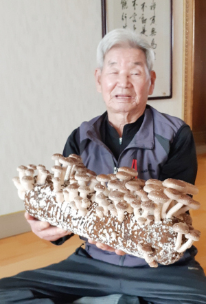 경북남부보훈지청, 치매예방프로그램 운영