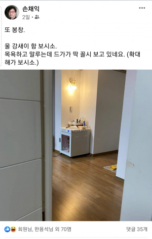 한의사 손채익 씨가 두드리는 ‘자다가 봉창’