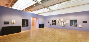 2021 우양미술관 하반기 전시 ‘감각의 숲’ 展