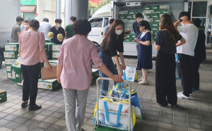 경주시 직원 대상 ‘이사금 멜론’ 구매행사 가져
