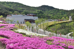 화랑마을 ‘2022년 학교단체 수련활동’ 사전예약