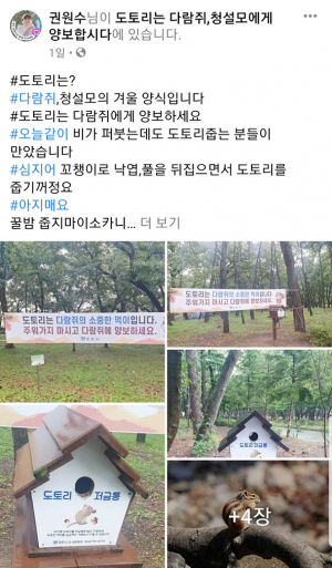 황성공원 도토리는 다람쥐에게 양보하세요