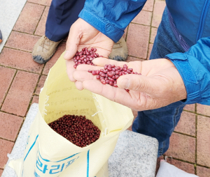 경주지역 팥 재배 농가와 수매계약 추진