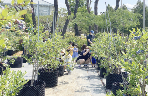 ‘경주 스케치 여행 SNS 포스팅 인증 이벤트’