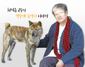 경주개 동경이가 꼬리가 없는 유전학적 이유