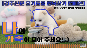 [나의 가족이 되어주세요!] 공고번호 : 경북-경주시-2022-1199